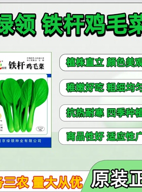 【高产型】杂交高产油菜籽黑油菜种子矮杆早熟大荚大粒抗病抗倒伏