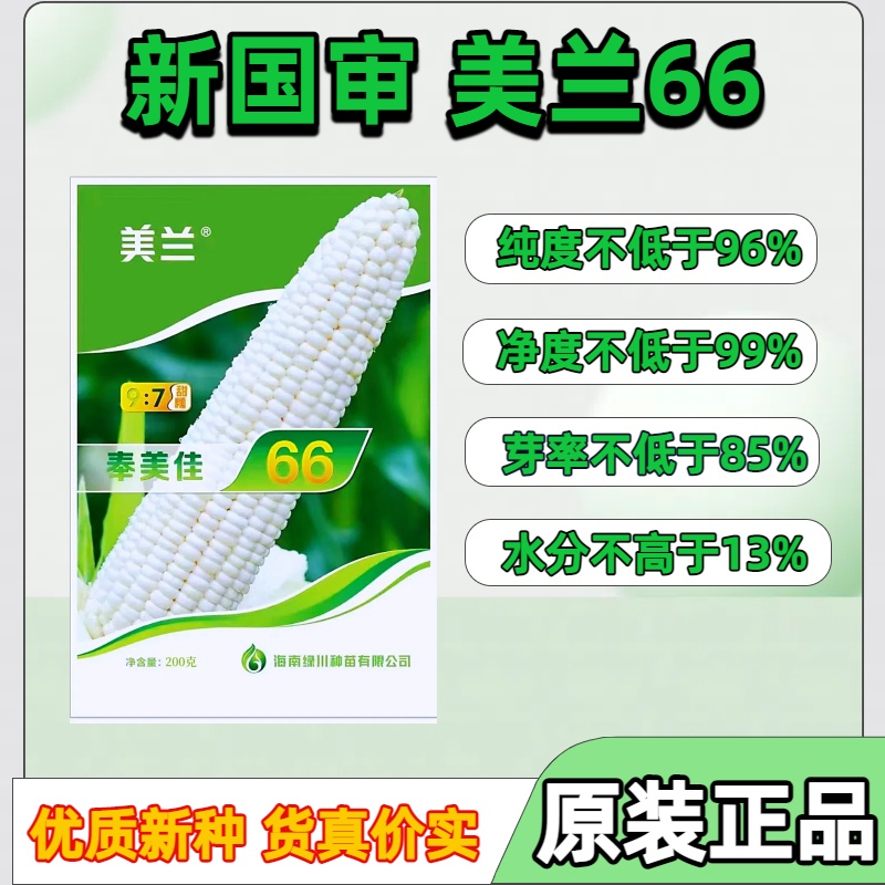 美兰奉美佳66甜糯玉米种子比美兰27更好吃的白甜糯玉米种子原装