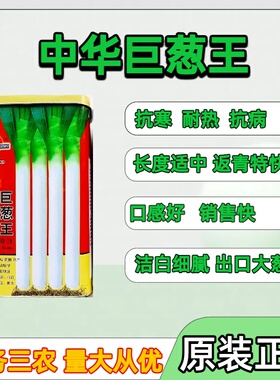 中华巨葱王大葱种子山东铁杆巨葱种子原装高产抗病铁杆大葱种籽