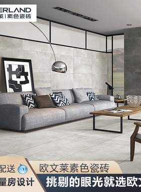 客厅墙砖瓷砖450x900欧文莱厨房卫生间灰色地砖漫诗彤YI459S5214