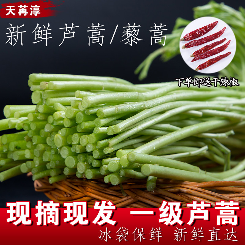 农家芦蒿藜蒿新鲜3斤野生1500g野菜当季生态蔬菜切根芦蒿江苏特产