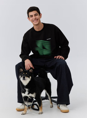 warmtrees绿色光影印花圆领卫衣宽松男款上衣2025新款休闲卫衣