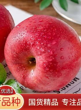 正宗陕西瑞阳苹果 新鲜脆甜瑞雪香红甜秦冠长武特大小苹果礼盒装