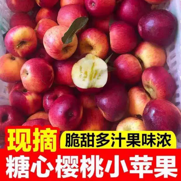 2026年南非樱桃小苹果脆甜果