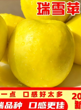 陕西正宗瑞雪苹果 新鲜脆甜青黄绿瑞阳长武白水瑞雪苹果包邮水果