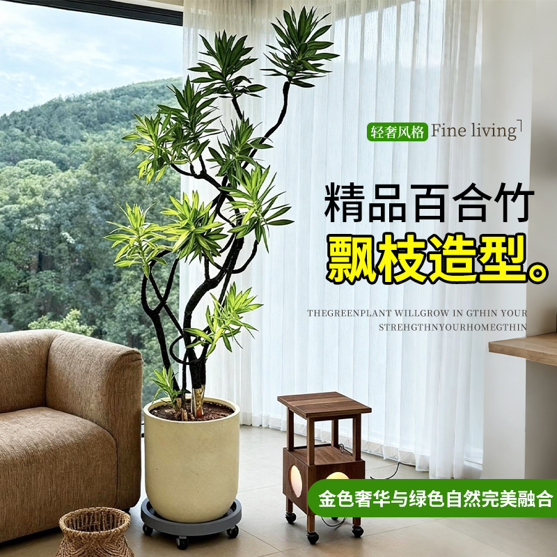 高级感金心百合竹客厅真绿植盆栽老桩造型绿植室内轻奢款大型植物