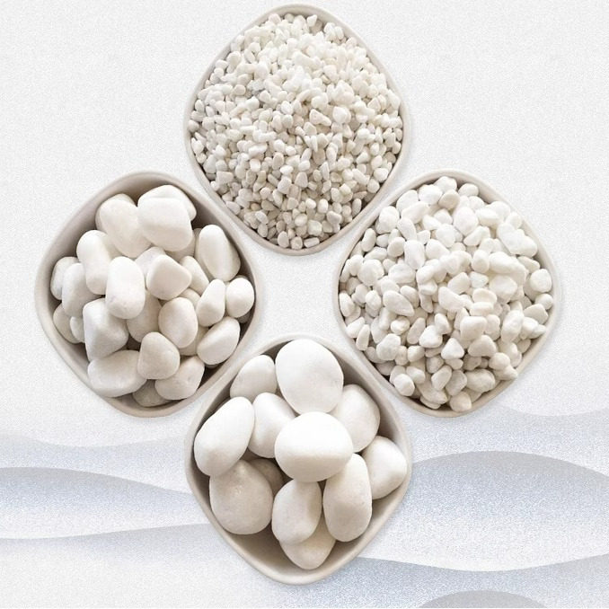 园林景观石子样品,鲜花速递/花卉仿真/绿植园艺,仿真绿植,淘宝优惠券,粉丝福利购,淘宝优惠卷