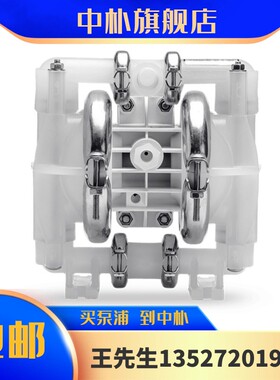 威尔顿气动隔膜泵P1/PPPPP/TNU/TF/KTV 1/2寸酸碱流体输送塑料泵