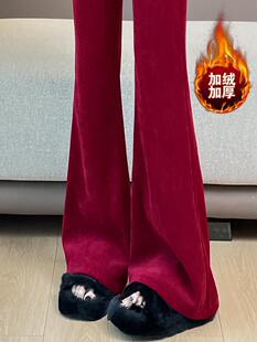 马蹄裤 安哥拉红雪尼尔微喇叭裤 女秋冬高腰显瘦加绒加厚灯芯绒西装