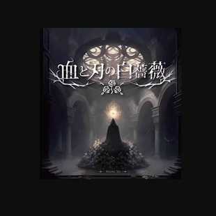 【泡面桌游】血与刃的白蔷薇 token升级 陶瓷币 可自定义