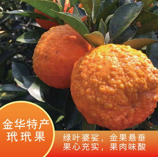 找寻儿时的回忆 玳玳果炖冰糖 民间偏方 玳玳黄果 金华特产