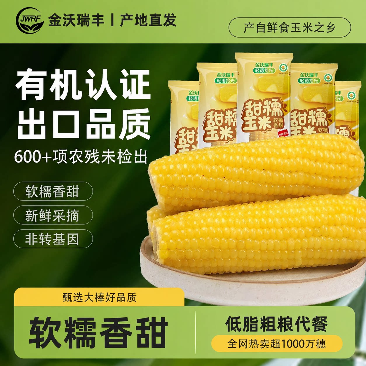 金沃瑞丰有机新鲜糯玉米棒真空装包装袋黏粘黄糯米非转基因