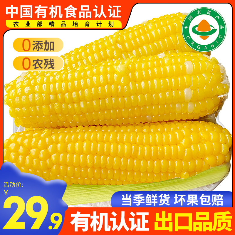 新鲜有机黄糯玉米260g*10根真空