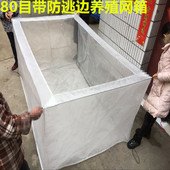 80目加厚养鱼网防逃网箱水蛭水花黄鳝蝌蚪育苗网箱鱼苗幼苗孵化