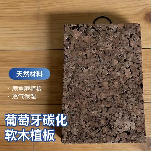 碳化软木板鹿角蕨挂板石斛背板苔藓上板加厚植物板室内种植木背板