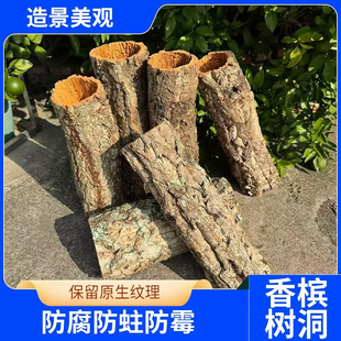 软木树洞爬宠宠物造景躲避屋守宫砂躲避巨人鬃狮睫角豹造景材料