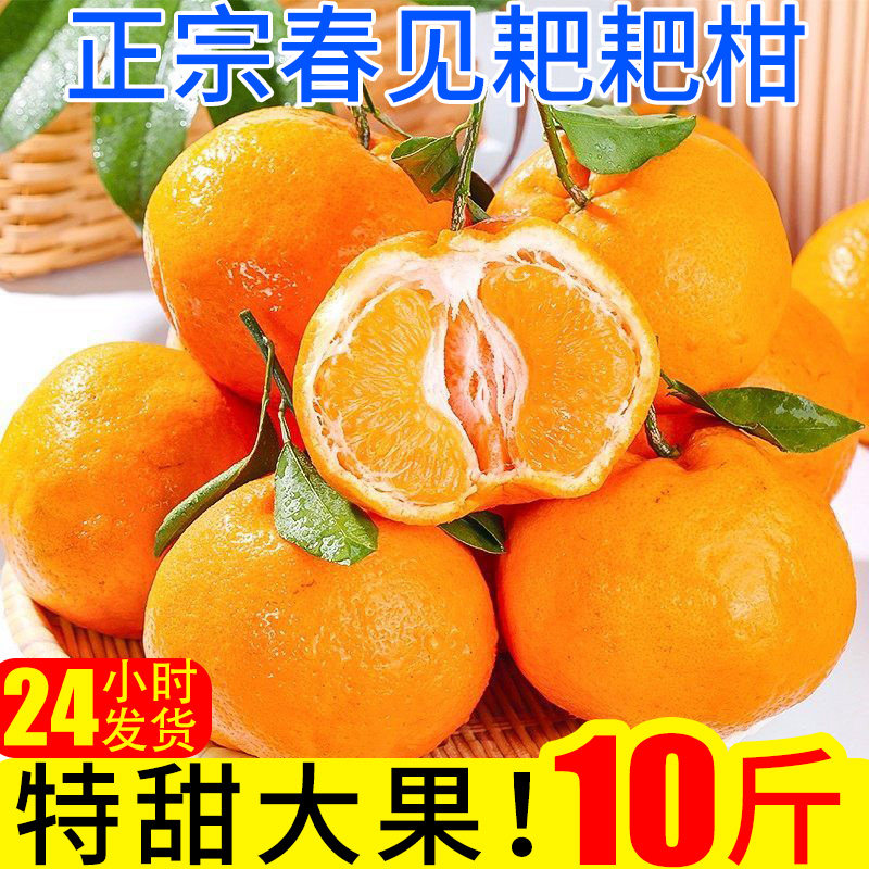 春见耙耙柑橘子10斤蜜橘桔子当季新鲜时令应季水果整箱柑橘
