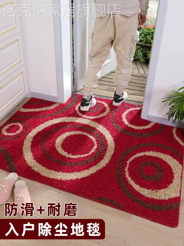 入户门口地垫进户门垫进门防滑垫脚垫家用卫生间吸水垫子地毯卧室_虎窝淘