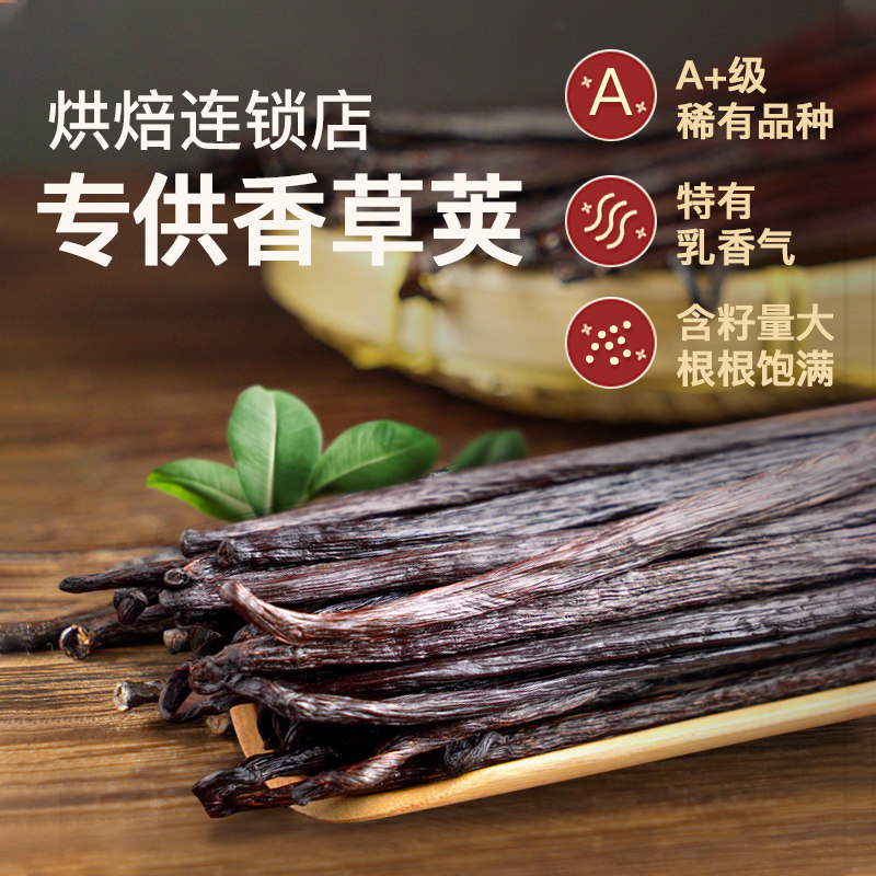 香草荚天然豆夹香荚兰豆香荚兰图片