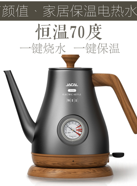 积高GL-2006长嘴家用保温烧水壶复古专业茶壶泡茶壶小型电热水壶
