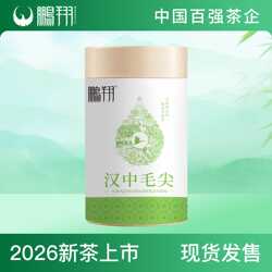 汉中毛尖2026新茶陕西汉中特产茶叶鹏翔西乡绿茶罐装100g