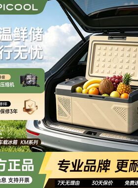 冰虎车载冰箱12V/24V冷藏冷冻