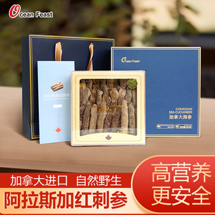 ocean 阿拉斯加红刺参礼品礼盒加拿大进口野生红参海参干货 feast
