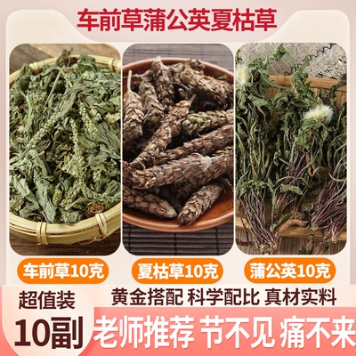 蒲公英车前草夏枯草原材料