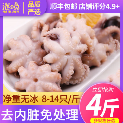 八爪鱼鲜活小八爪鱼新鲜冷冻爆头海鲜水产麻辣小章鱼足无冰八抓鱼