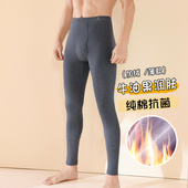 内穿衬裤 秋冬季 大码 润肤纯棉秋裤 加绒紧身保暖棉裤 薄款 毛线裤 男士