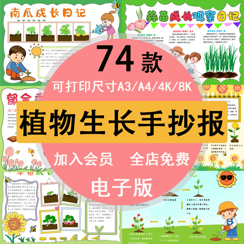 植物生长手抄报蔬菜种植记录卡自然笔记小报土豆大蒜豆芽草莓南瓜