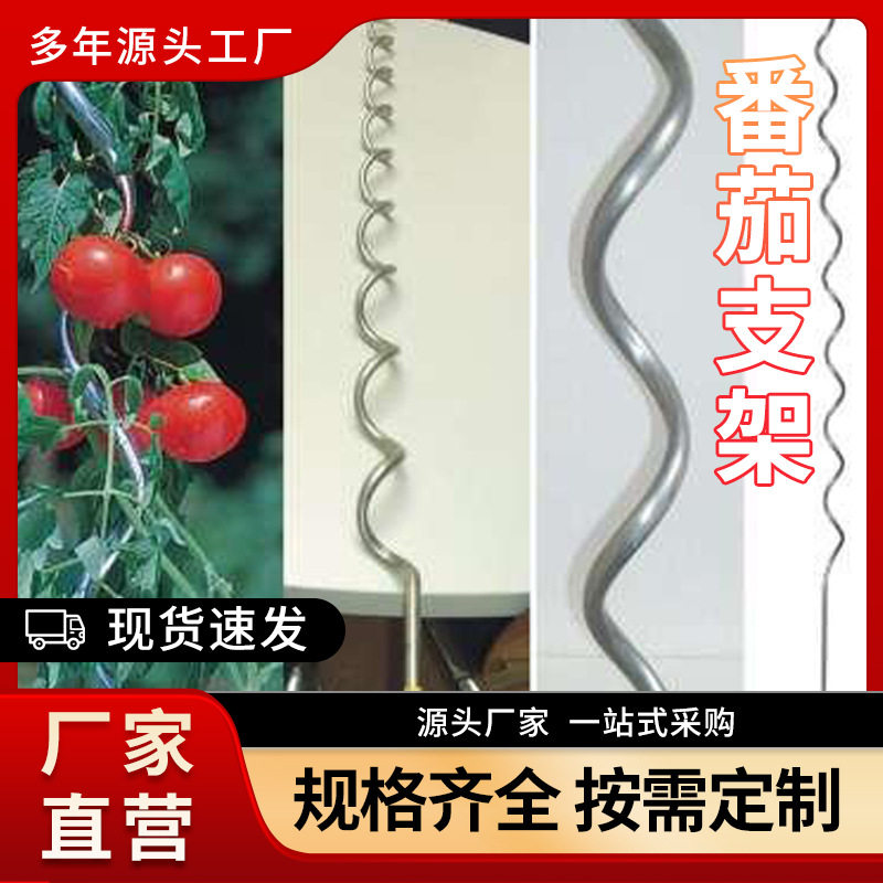 厂家 固定小番茄支架园艺爬藤支架价格优惠番茄架子厂家直销