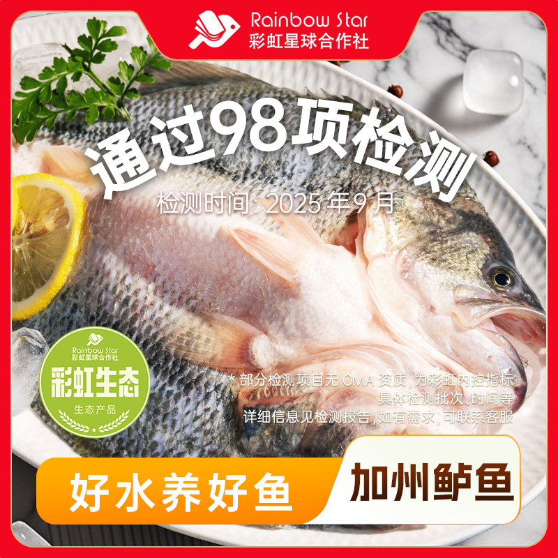 彩虹星球生态丨淡水加州鲈鱼2条装冰冻去鳃去鳞去内脏淡水鲈鱼