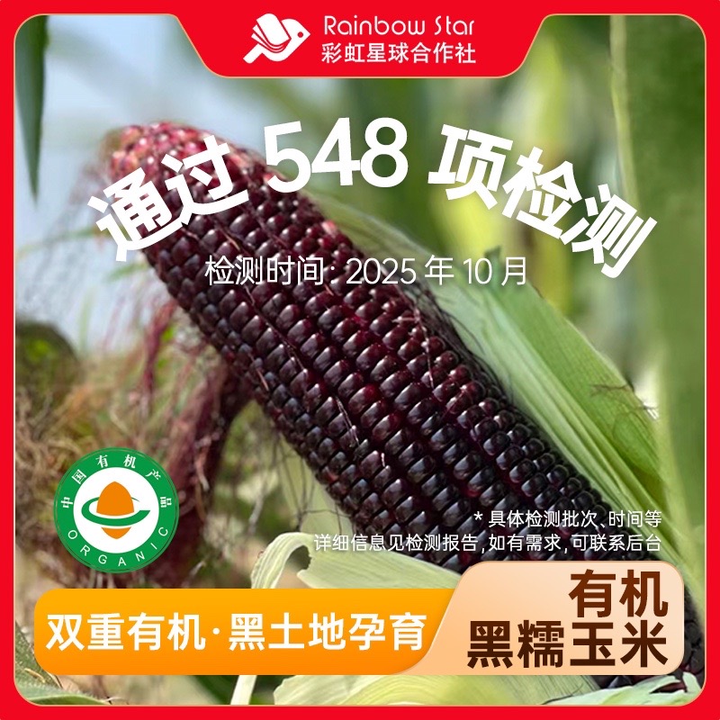 彩虹星球有机东北黑糯玉米8根