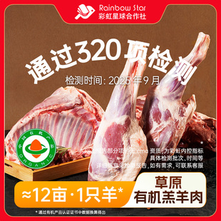 彩虹星球有机｜有机草原羔羊肉乌珠穆沁羊草饲散养清炖精细分割