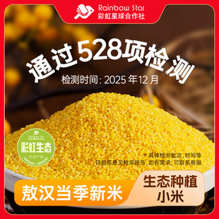 彩虹星球生态｜敖汉小米5斤内蒙特产采收小米粗粮小米粥