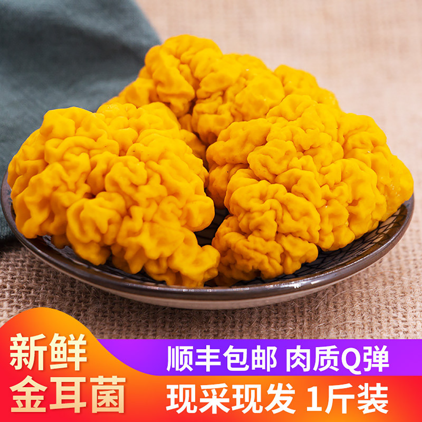 世庆堂新鲜金耳菌500g云南特产椴木黄耳时令菌菇脑耳菌野生菌煲汤