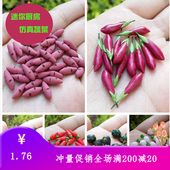 迷你厨房diy小屋食物模型蔬菜类微缩拍摄道具青椒茄子黄瓜萝卜红
