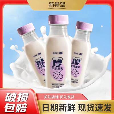 香芋琴牌芋泥厚乳低温鲜奶