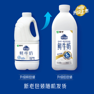 蒙牛现代牧场鲜牛奶巴氏杀菌乳大桶装奶茶店专用家庭奶