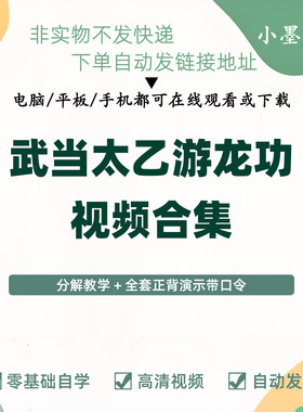 武当太乙游龙功视频全套演示分解动作
