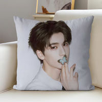 Zhang Linghe's pillow for the living room and bedroom, with a light luxury and high-end feel. Customized pillowcases and cushions based on the same style photos thumbnail 3