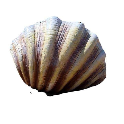 户外仿真海洋生物模型雕塑贝壳八爪鱼螃蟹沙滩海洋馆美陈装饰摆件