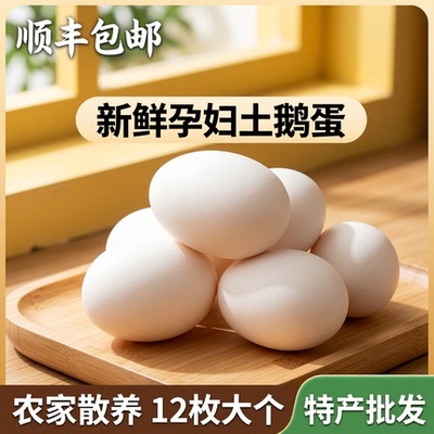 顺丰包邮芷华农家散养新鲜土鹅蛋