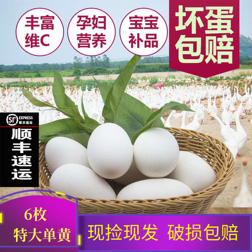 新鲜顺丰包邮农家散养批发鹅蛋