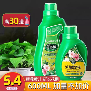 植物通用型营养液水肥花肥家用液体肥料绿萝发财树富贵竹绿植多肉