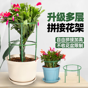 蟹爪兰花架爬藤架托架杆支撑月季 专用支架花盆兰花绿萝栽攀爬拼接