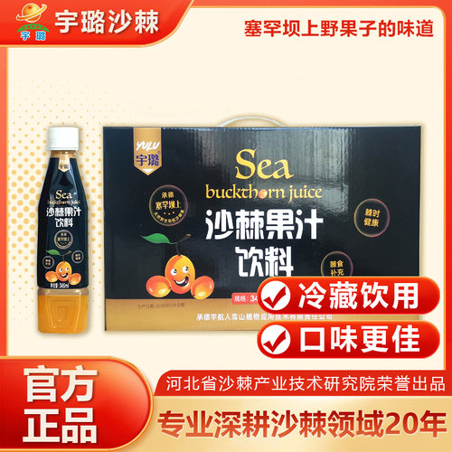 宇航人承德生榨特产沙棘汁