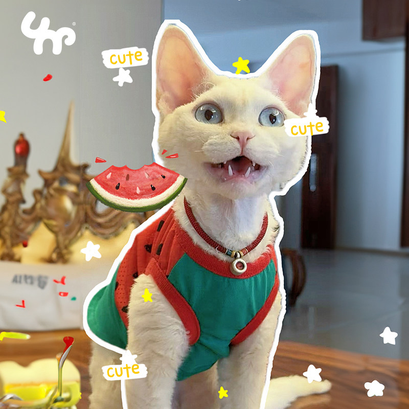 宝眷夏季狗背心猫咪服饰狗狗居家服薄款中小型犬泰迪衣服防掉毛