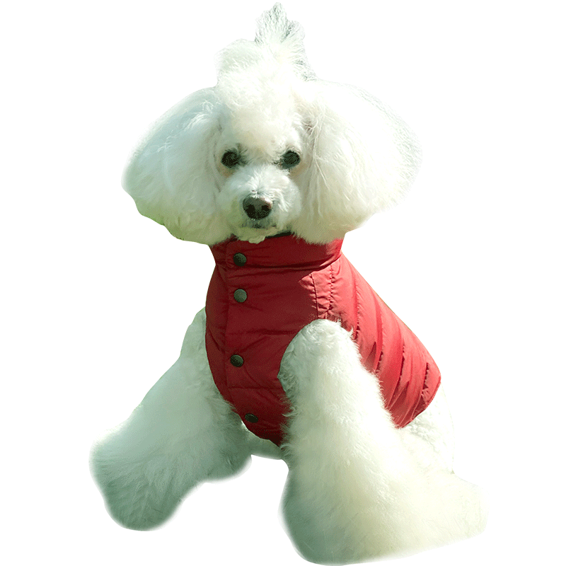 宝眷雪纳瑞小型拉布拉多狗狗衣服